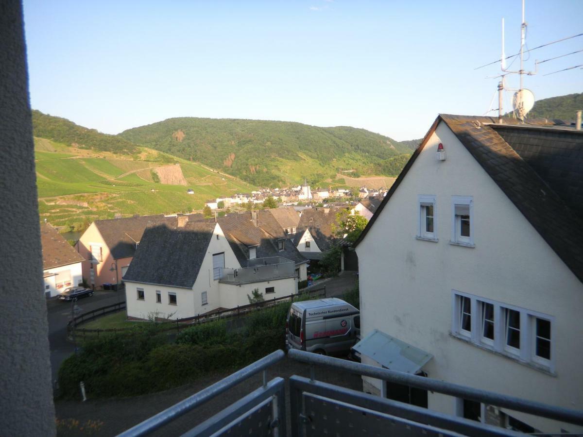 Ferienwohnung Bernkastel-Kues - Alte Rebschule Luaran gambar